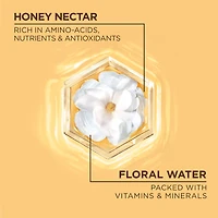 Whole Blends Honey Water Shampooing Hydratant pour Cheveux et Cuir Chevelu Secs