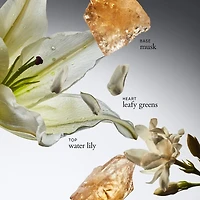 pure grace eau de parfum for women