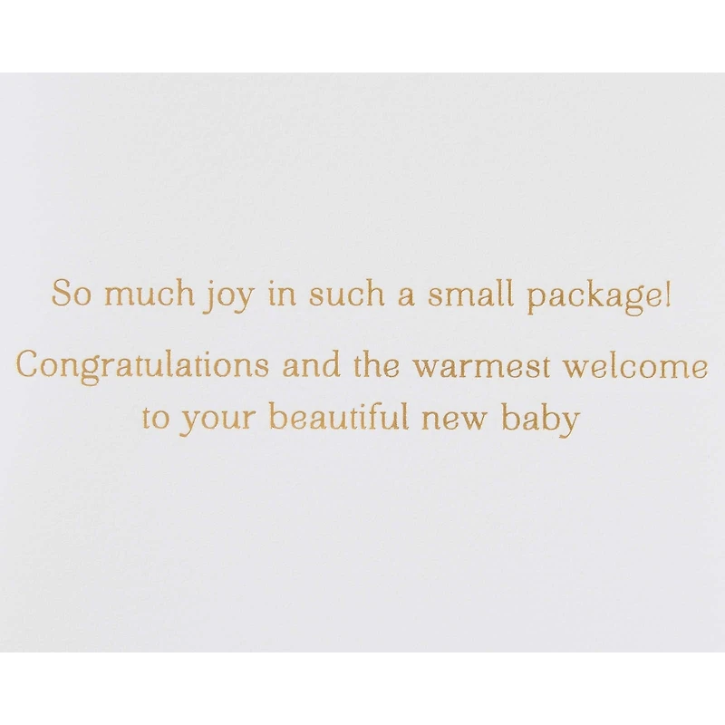Papyrus Baby Shower Card (Warmest Welcome)