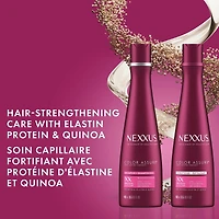 Nexxus Colour Assure Sulfate-Free Shampoo Hair Care For Colour Treated Hair made with Elastin Protein and Quinoa 400 ml