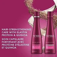 Nexxus  Conditioner for colour treated hair Colour Assure hair care to stay vibrant up to 40 washes 400 ml