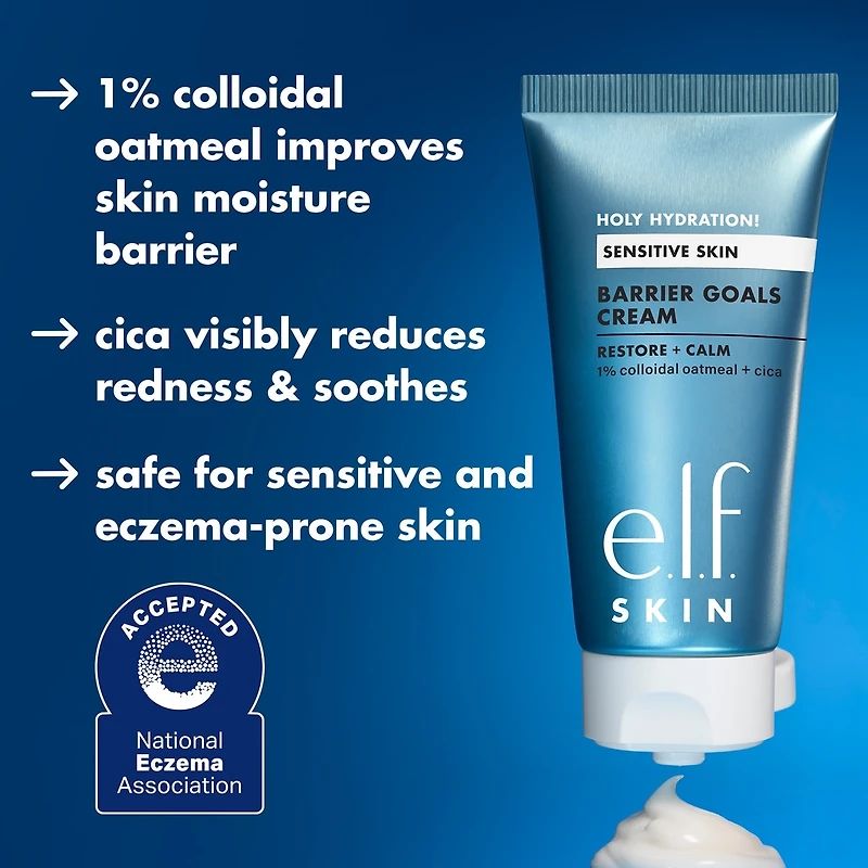 Holy Hydration! Barrier Goals Cream