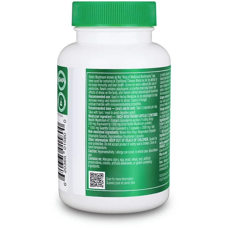 Extrait de champignon Reishi