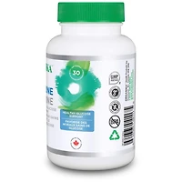 Berberine 500MG 60CAP