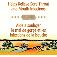 Bee Propolis 500 mg