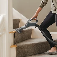 Aspirateur vertical Navigator® pour poils d’animaux avec brosse rotative autonettoyante