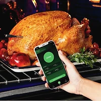 Ninja ProChef Wireless Thermometer