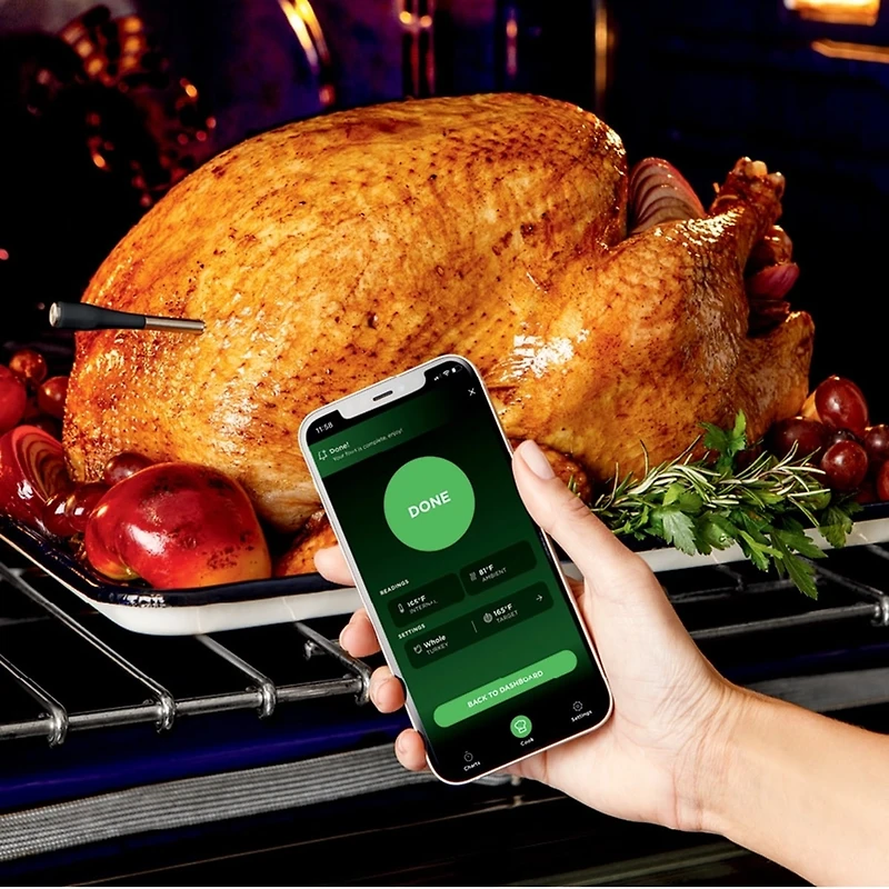 Ninja ProChef Wireless Thermometer