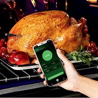 Ninja ProChef Wireless Thermometer