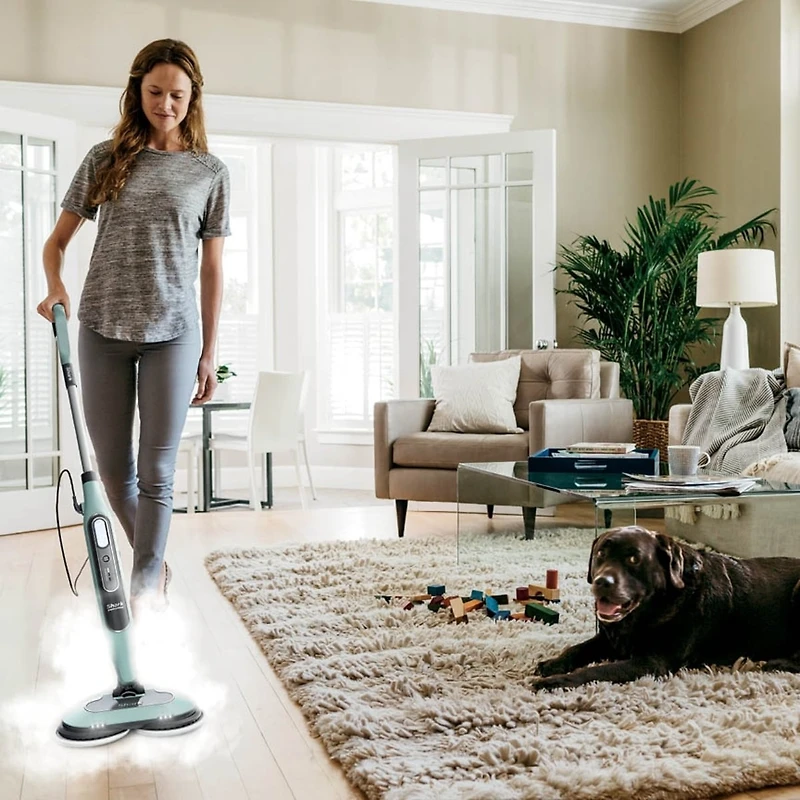 Shark Vapeur & Recurante 2En1