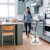 Shark Vapeur & Recurante 2En1