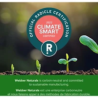 Magnesium Enhanced Absorption 500 mg