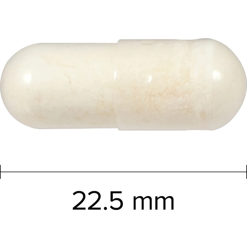 Probiotic 80 Billion 8 Probiotic Strains