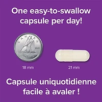 Super NEM, membrane de coquille d’œuf