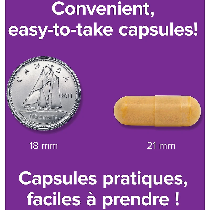 Santé hépatique Chardon-Marie, schisandra, acide alpha-lipoïque et curcumine
