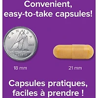 Santé hépatique Chardon-Marie, schisandra, acide alpha-lipoïque et curcumine
