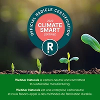 Vitamin C Timed Release