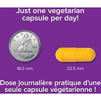 Curcumine de curcuma à absorption élevée avec poivre noir 8 000 mg (plante brute)