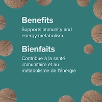 Vitamine B12 à libération lente