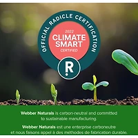 Ultra Calcium Enhanced Absorption 650 mg