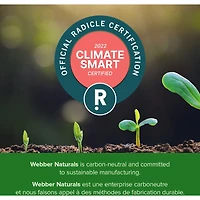 Vitamine D3 2 500 UI Extra-fort