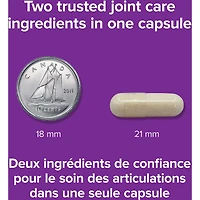Super NEM plus Collagène UC-II