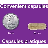 Fer doux avec vitamine C, B12 et acide folique  28 mg