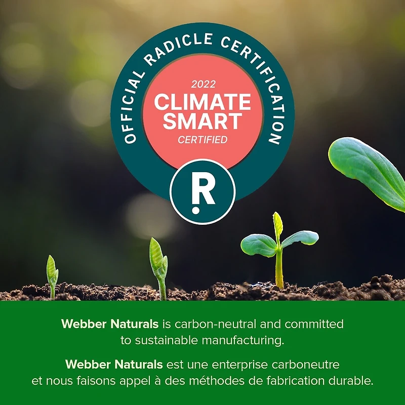 Probiotique 10 milliards + prébiotique