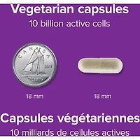 Probiotique 10 milliards + prébiotique