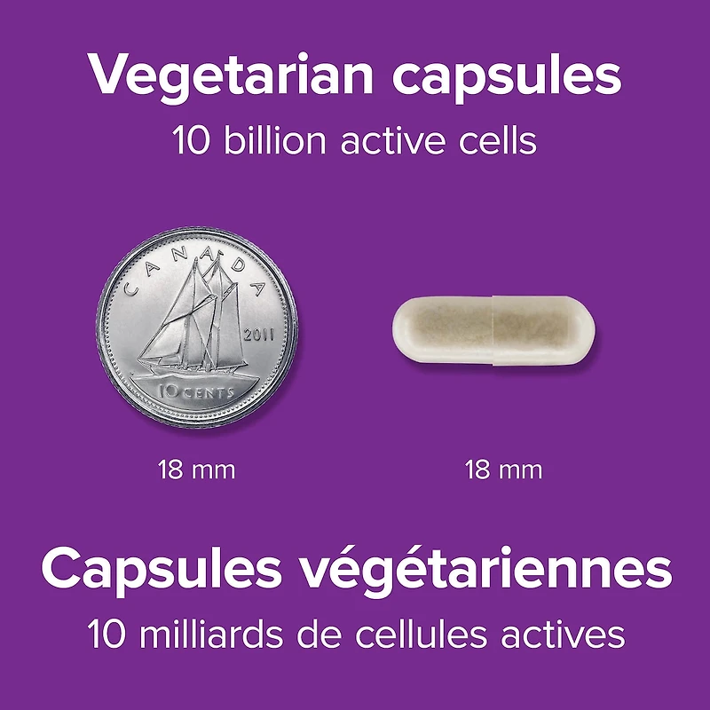 Probiotique 10 milliards + prébiotique