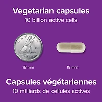 Probiotique 10 milliards + prébiotique