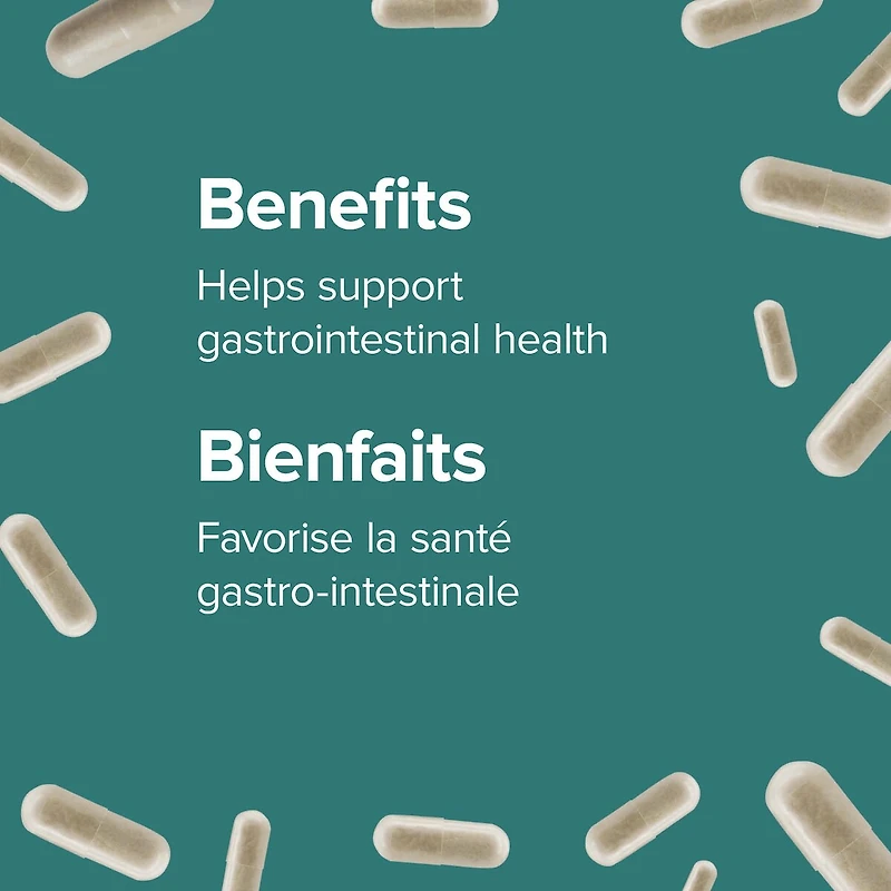 Probiotique 10 milliards + prébiotique