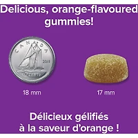 Gentle Iron Gummies