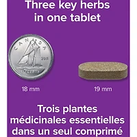 Ultra stimulant de testostérone