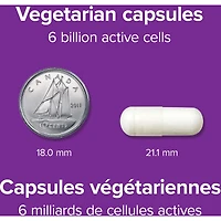 Acidophilus Bifidus with FOS 6 Billion Active Cells