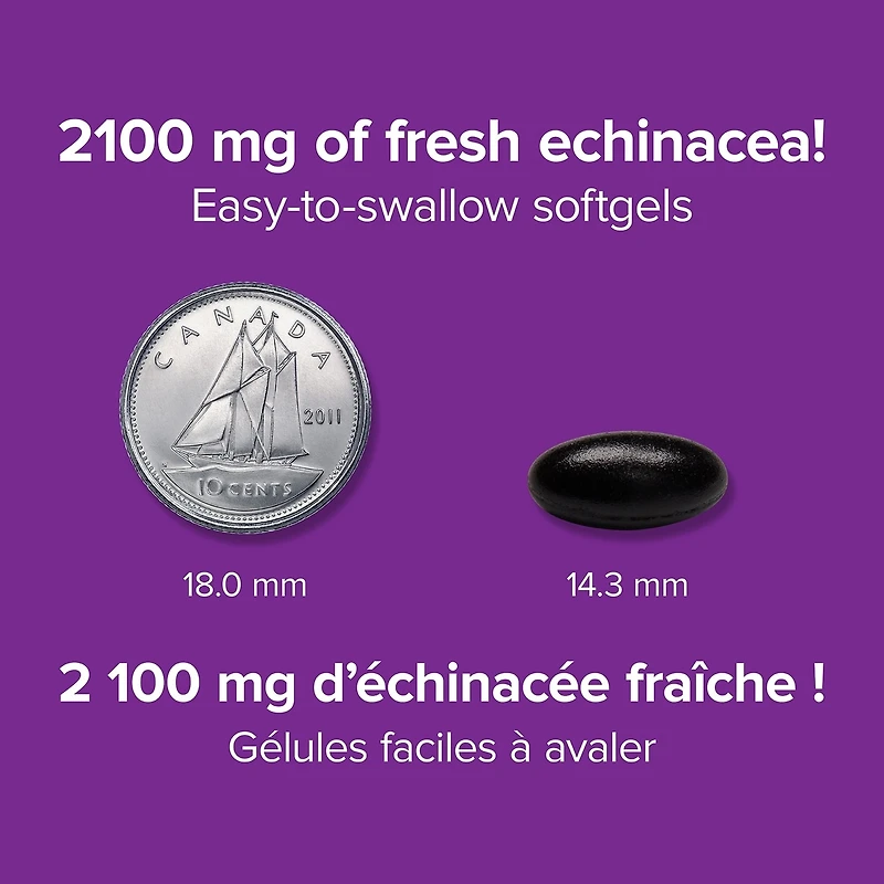 Échinacée 2 100 mg