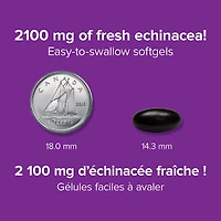 Échinacée 2 100 mg