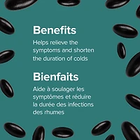 Échinacée 2 100 mg