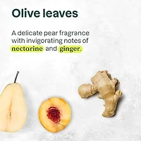 Super Leaves Revitalisant - nourrissant et fortifiant