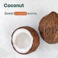 Lip Balm - SPF 15 - Coconut