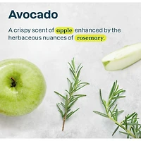 Deodorant - Avocado Oil