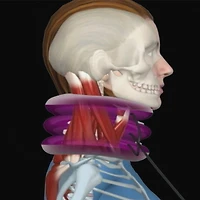 Dr Ho Coussin De Cou