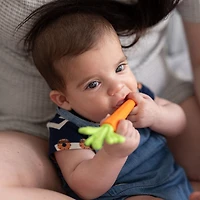 Carrot Tube Teether
