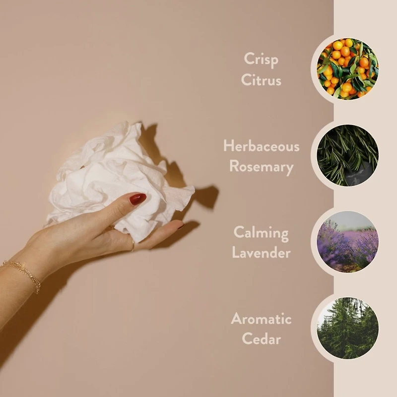 Paume Cleansing Hand and Body Wipes