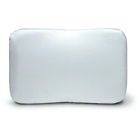 Envy COPPER + Silk Pillow