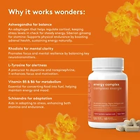 Energy Complex