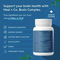 Brain Complex