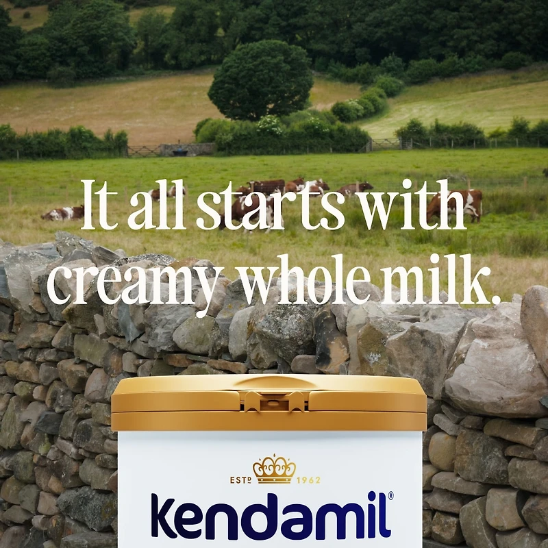 Classic Toddler Powder Formula 28.2oz (12-36 months), Classic Toddler Powder Formula