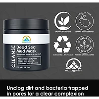 Masque de Boue de la Mer Morte pour le Nettoyage des Pores, Traitement de l'Acné, Anti-Vieillissement