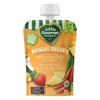 Little Gourmet Organic Toddler Snack Bright Blends Mango Coconut Spinach